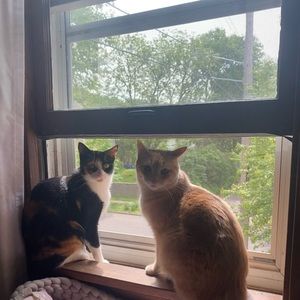 Meet your Posher, Ula